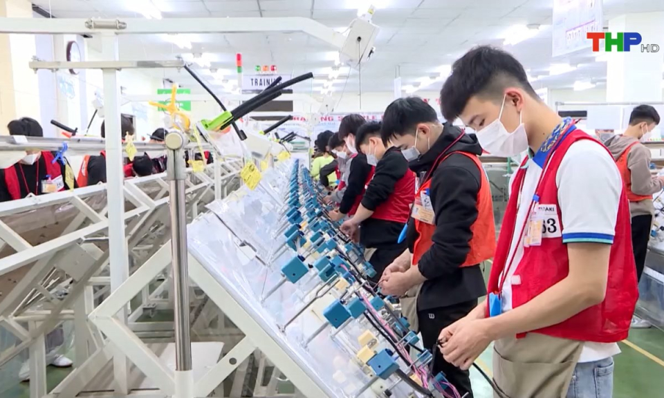 Bản tin Hải Ph&ograve;ng h&ocirc;m nay (23/02/2025)