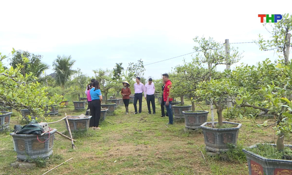 Kinh tế v&agrave; đ&ocirc; thị: Tiếp tục n&acirc;ng cao hiệu quả t&iacute;n dụng ch&iacute;nh s&aacute;ch x&atilde; hội