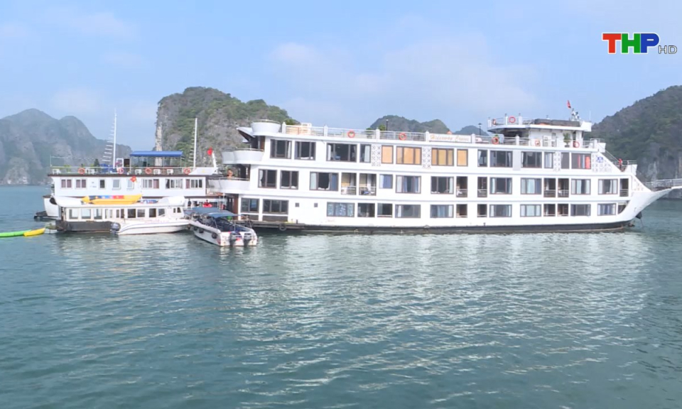 Bản tin tiếng Anh (24/02/2025)