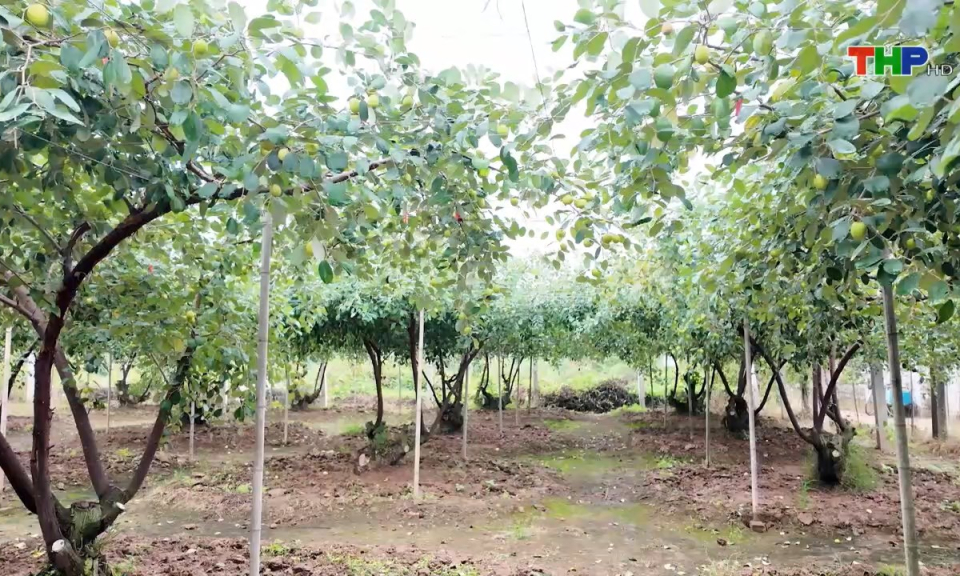 Bản tin thời sự s&aacute;ng (25/02/2025)