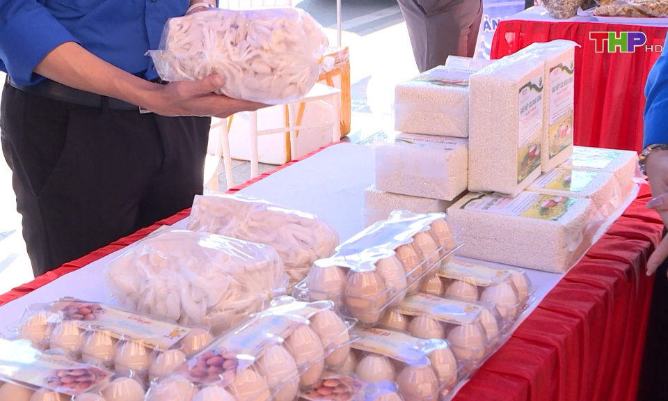 Hỗ trợ thanh ni&ecirc;n khởi nghiệp 