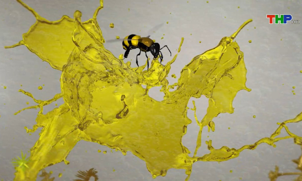 Khoa gi&aacute;o: Giọt mật - giọt v&agrave;ng 