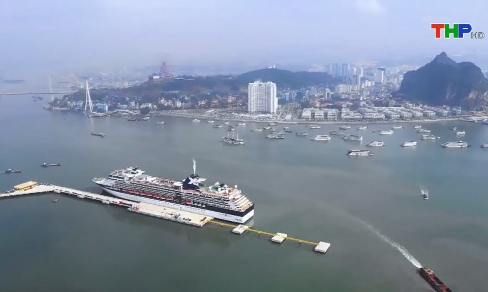 Bản tin tiếng Trung (26/02/2025)