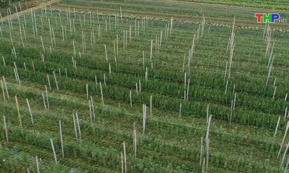 Bản tin thời sự trưa (27/02/2025)