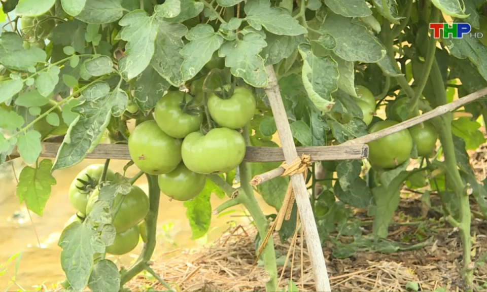 Bản tin Hải Ph&ograve;ng h&ocirc;m nay (28/02/2025)