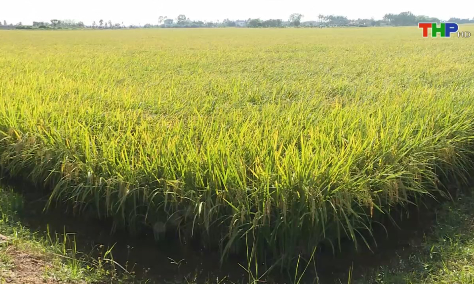 10 ph&uacute;t v&agrave;ng (28/02/2025)