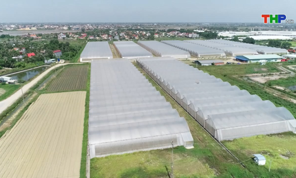 N&ocirc;ng th&ocirc;n mới Hải Ph&ograve;ng: X&acirc;y dựng, ph&aacute;t triển c&aacute;c m&ocirc; h&igrave;nh n&ocirc;ng nghiệp hiệu quả