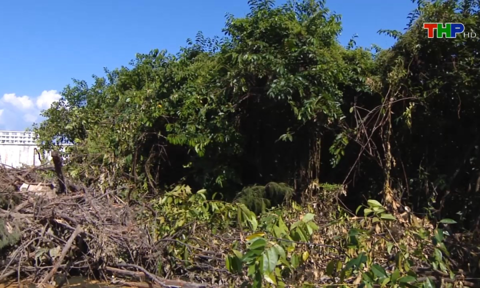 Ph&aacute;p luật v&agrave; cuộc sống: Khởi kiện vụ &aacute;n h&agrave;nh ch&iacute;nh - những vấn đề cần l&agrave;m r&otilde;