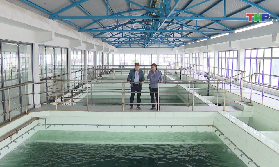 Doanh nghiệp tinh gọn bộ m&aacute;y, tối ưu h&oacute;a hoạt động