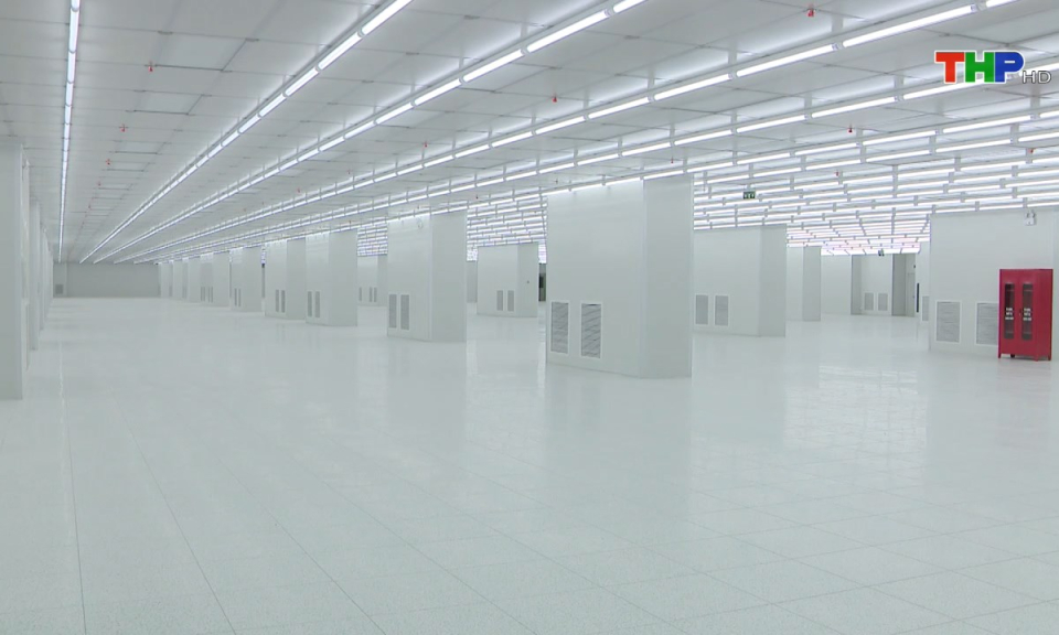 Bản tin tiếng Anh (01/03/2025)