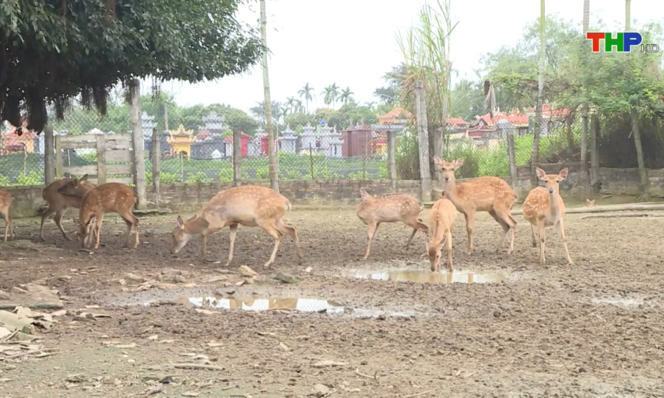 Bản tin tiếng Anh (03/03/2025)