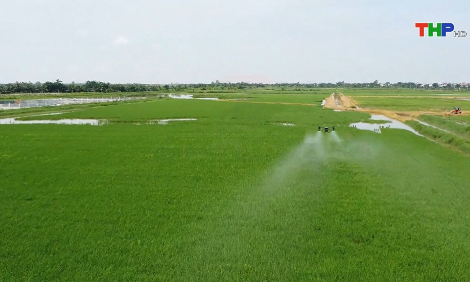 Bản tin thời sự s&aacute;ng (04/03/2025)