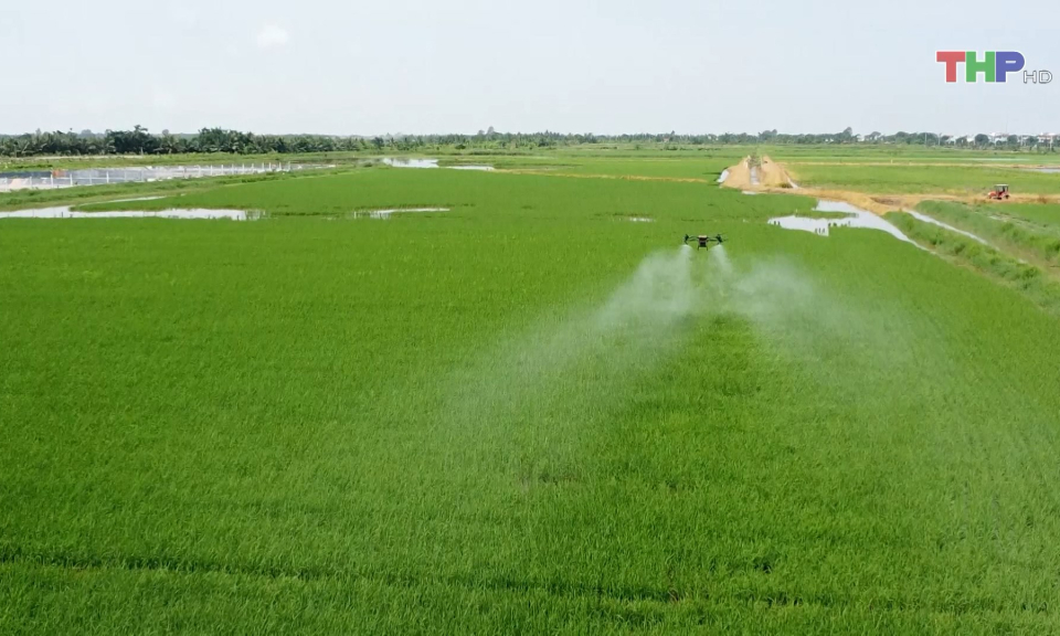 Ứng dụng cơ giới h&oacute;a trong sản xuất