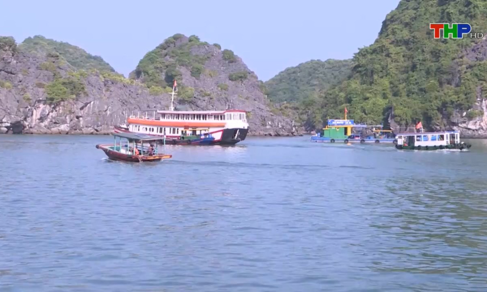 Bản tin tiếng Trung (05/03/2025)