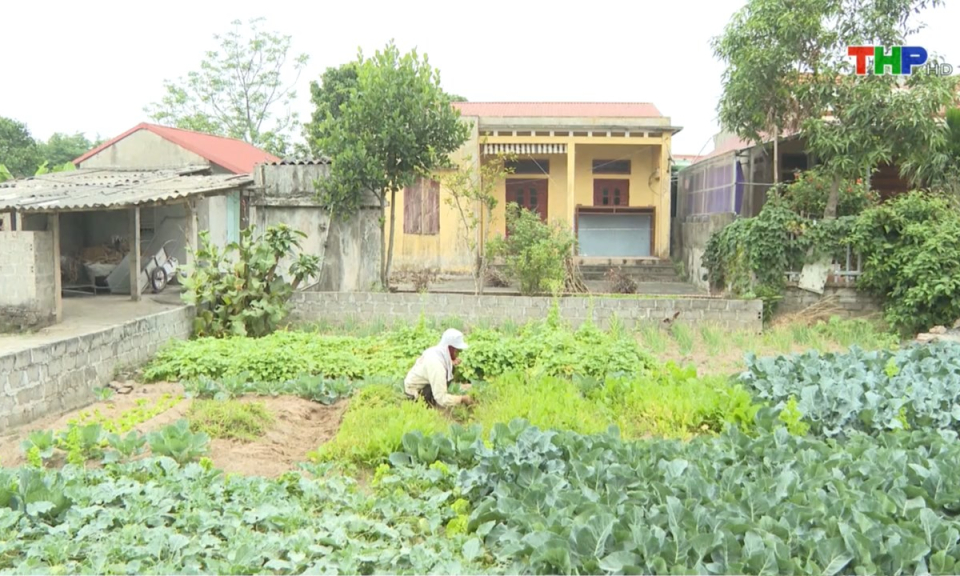 Bản tin Hải Phòng kết nối (07/03/2025)