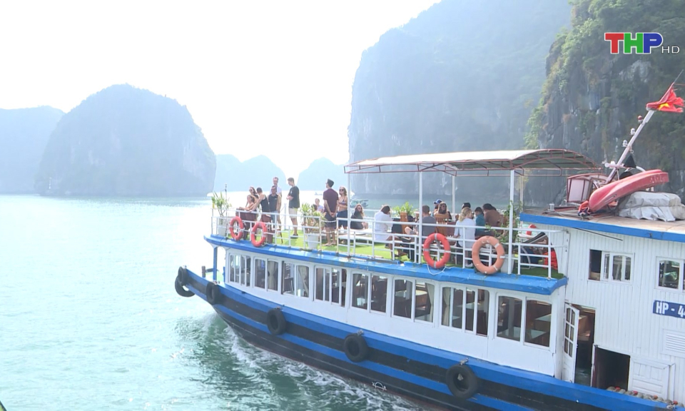 C&aacute;t B&agrave; nằm trong c&aacute;c điểm đến được t&igrave;m kiếm nhiều nhất  