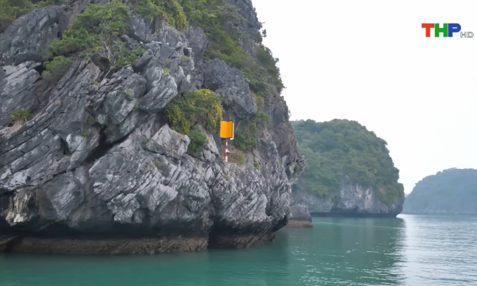 10 ph&uacute;t v&agrave;ng (08/03/2025)