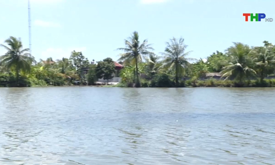 Bản tin thời sự tối (08/03/2025)