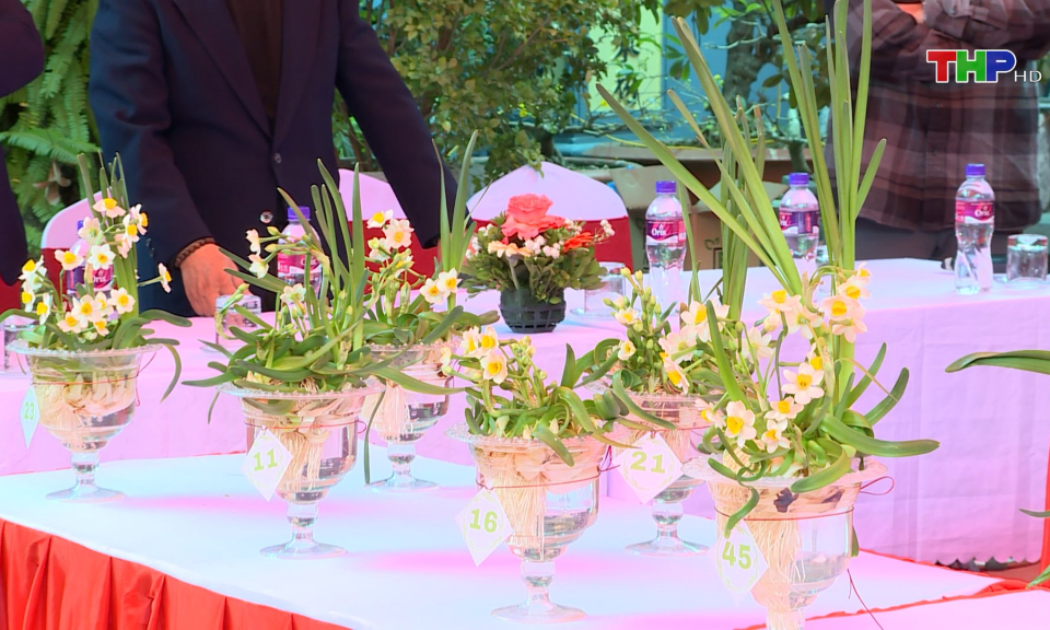 Hội thi Hoa Thủy ti&ecirc;n  