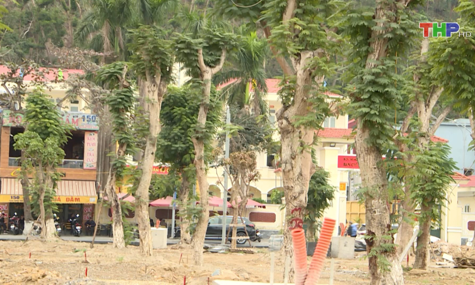 Tiến độ Dự &aacute;n Vườn hoa Hồ Hạnh Ph&uacute;c