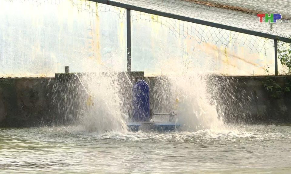 Ứng dụng KHCN trong ph&aacute;t triển kinh tế