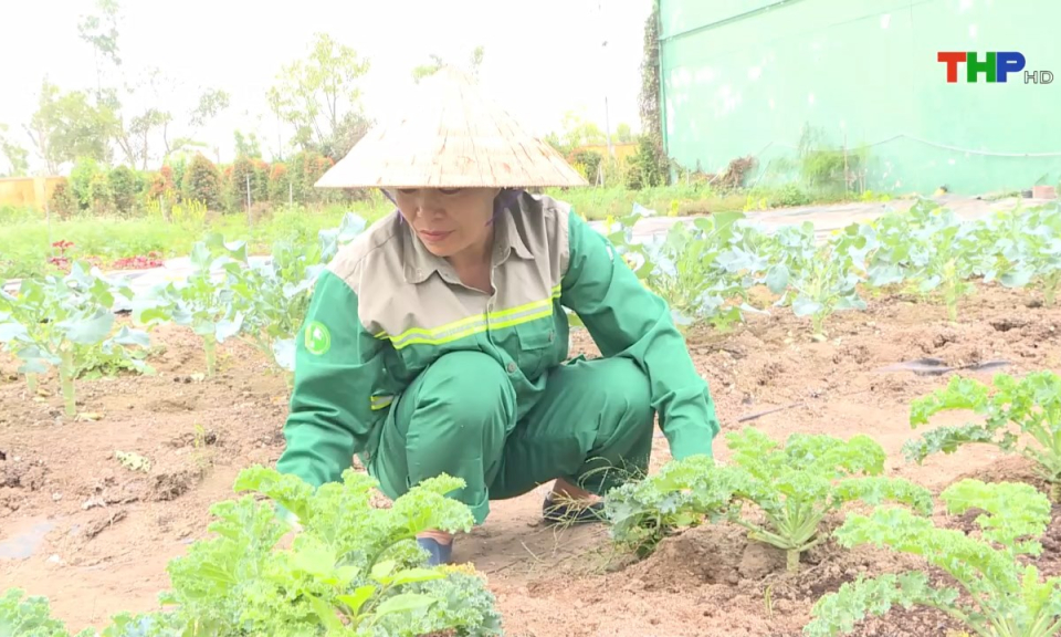 10 ph&uacute;t v&agrave;ng (12/03/2025)