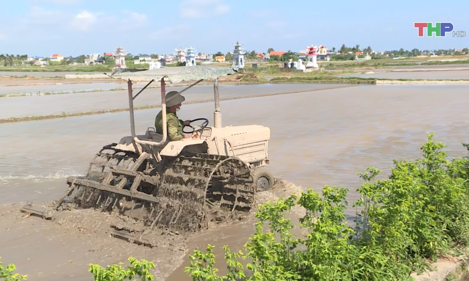 Đẩy mạnh cơ giới h&oacute;a trong sản xuất n&ocirc;ng nghiệp