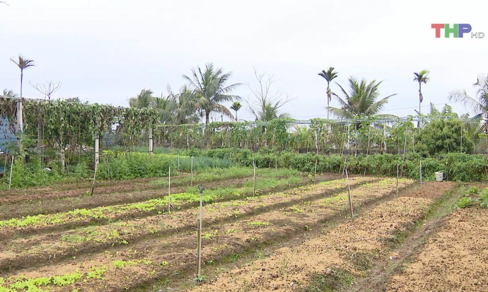 Bản tin thời sự trưa (14/03/2025)