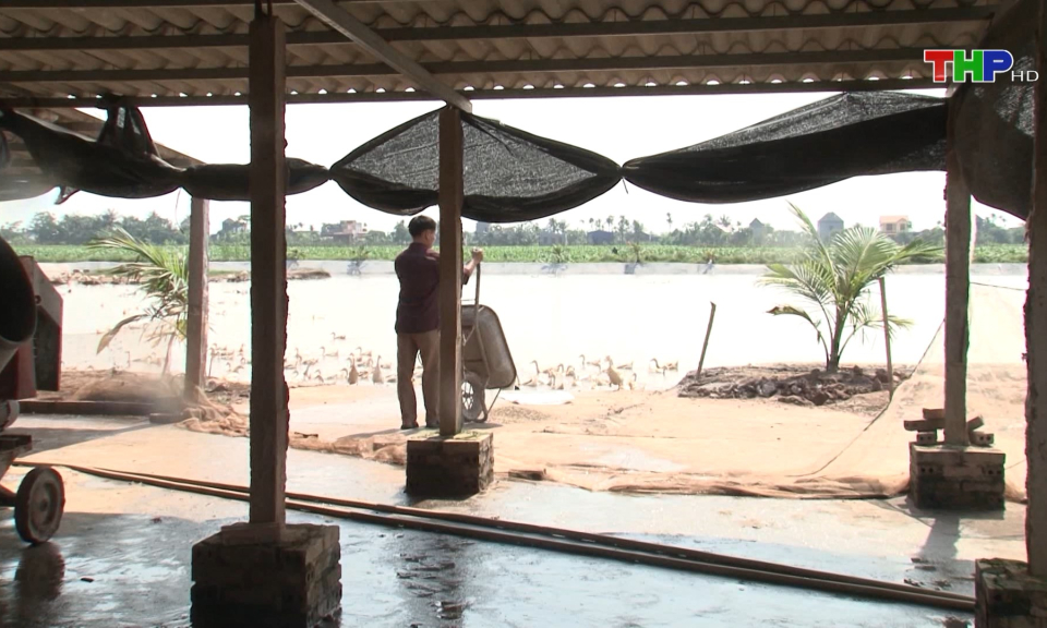 Hiệu quả m&ocirc; h&igrave;nh kinh tế tổng hợp