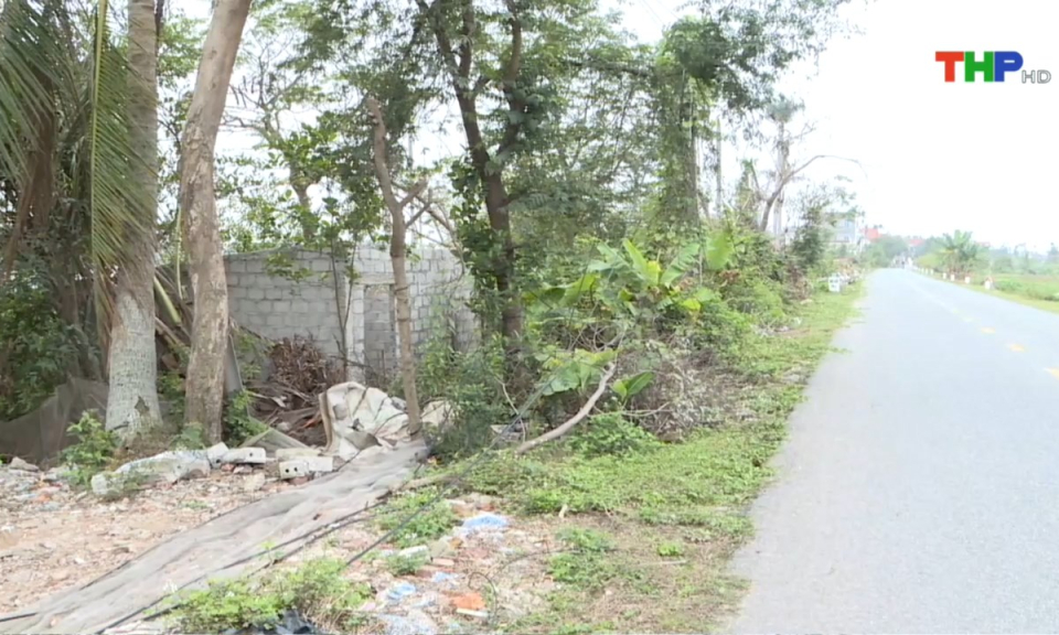 Bản tin Hải Phòng hôm nay (17/03/2025)