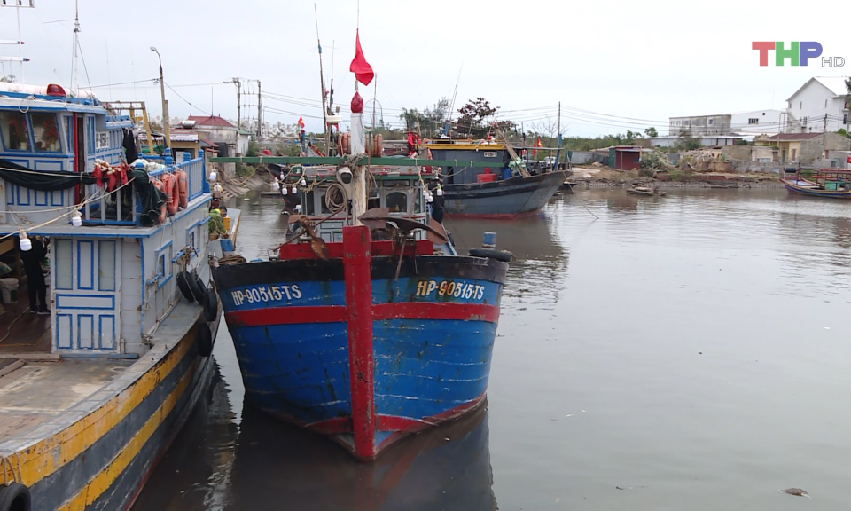 Ra quân vụ cá Nam  