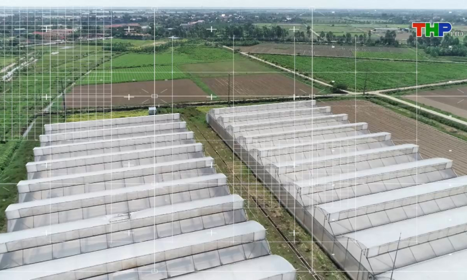 Nông thôn mới Hải Phòng: Chuyển đổi số hướng tới phát triển nông nghiệp xanh, bền vững