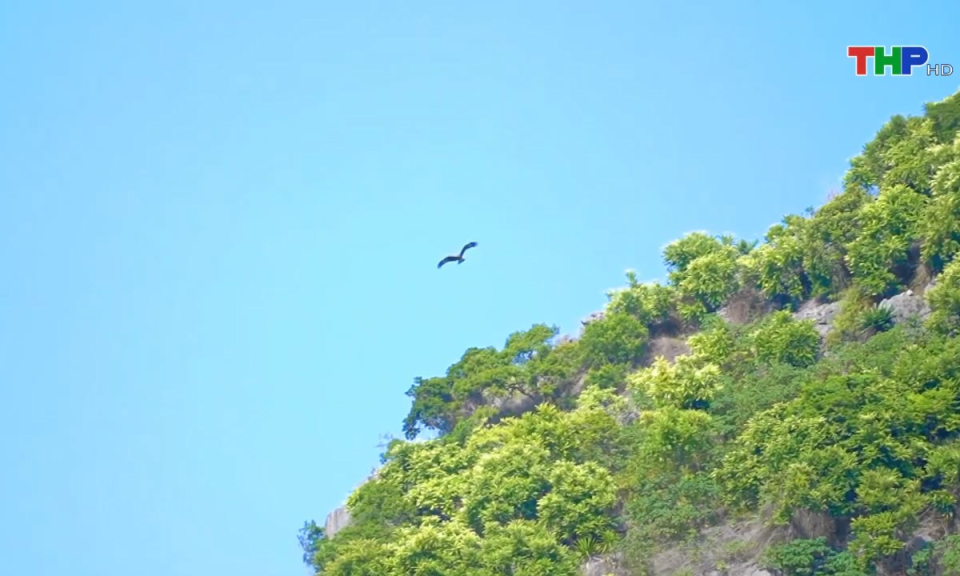 Bản tin Hải Phòng hôm nay (22/03/2025)