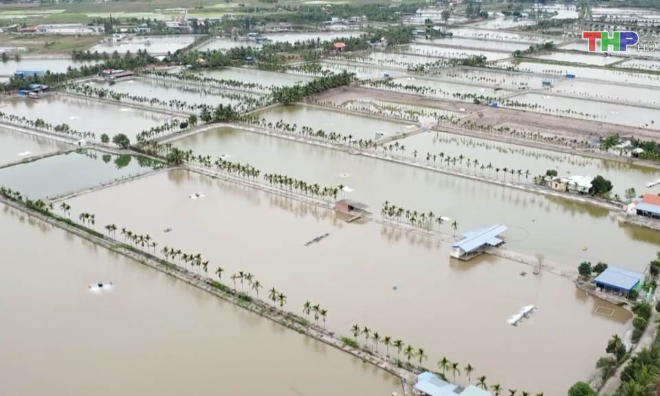 Sẵn s&agrave;ng v&agrave;o vụ nu&ocirc;i trồng thủy sản mới