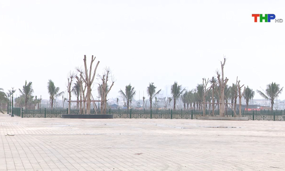 Bản tin tiếng Anh (24/03/2025)