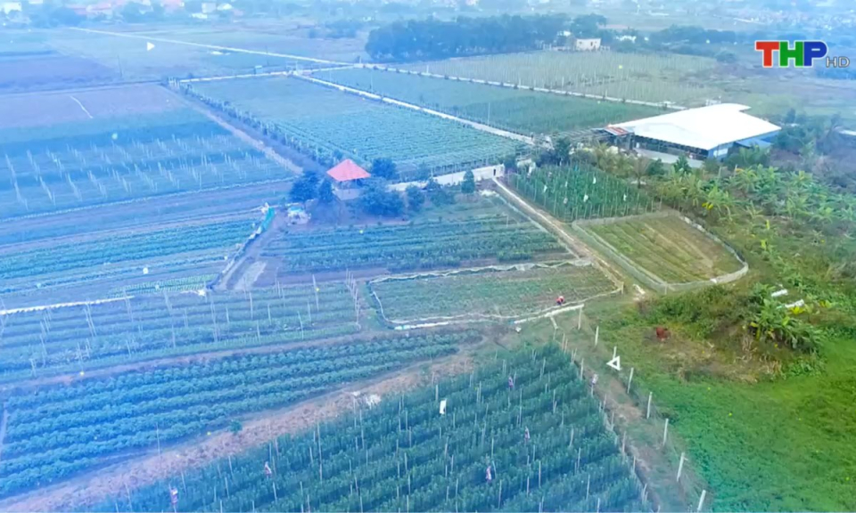 Bản tin thời sự tối (25/03/2025)