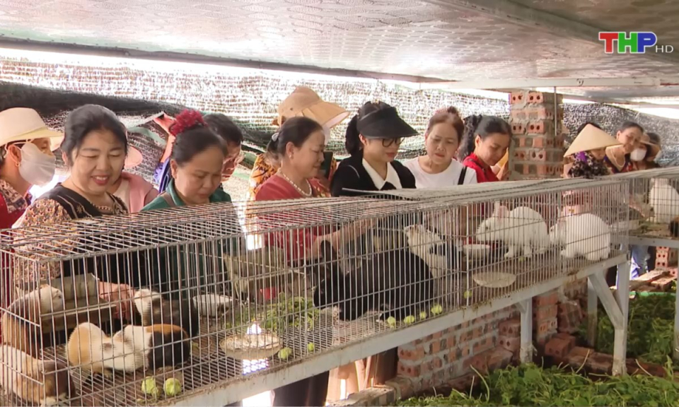 Bản tin thời sự trưa (26/03/2025)