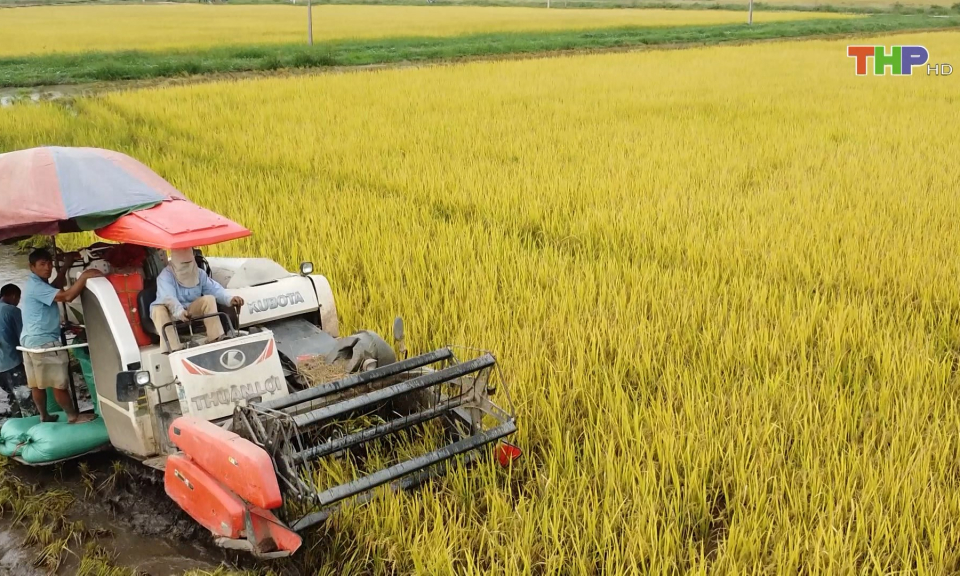 Tăng cường ứng dụng cơ giới h&oacute;a trong n&ocirc;ng nghiệp