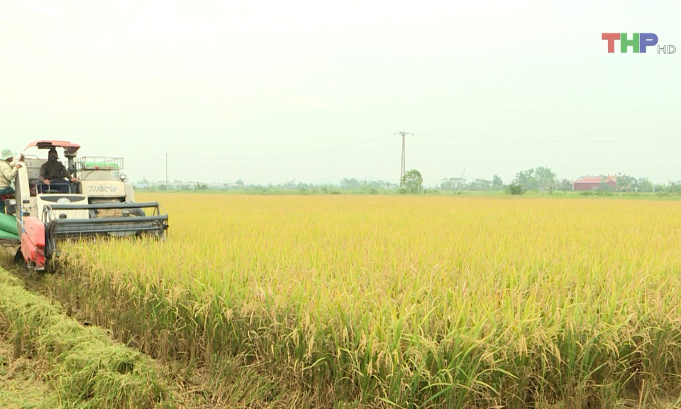 Gia tăng gi&aacute; trị sản xuất n&ocirc;ng nghiệp