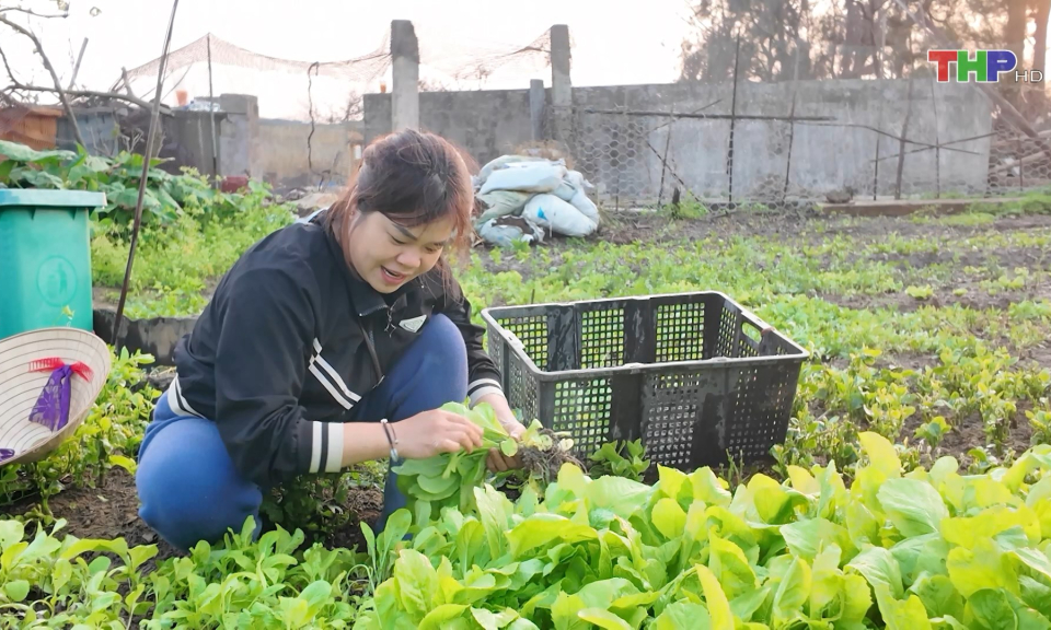 Xanh h&oacute;a huyện đảo tiền ti&ecirc;u