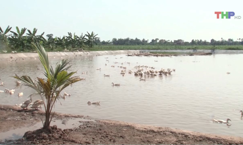 Bản tin thời sự trưa (27/03/2025)