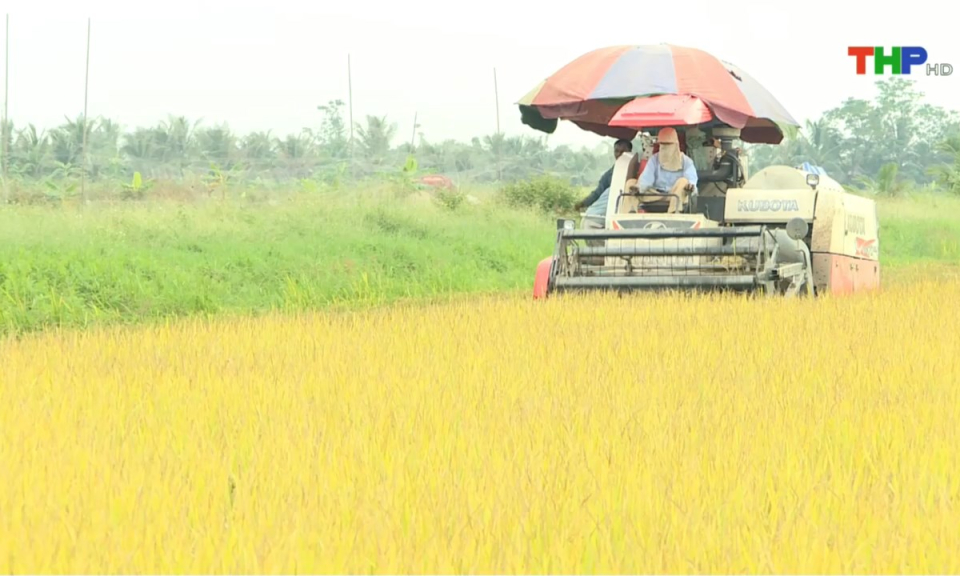 10 ph&uacute;t v&agrave;ng (27/03/2025)