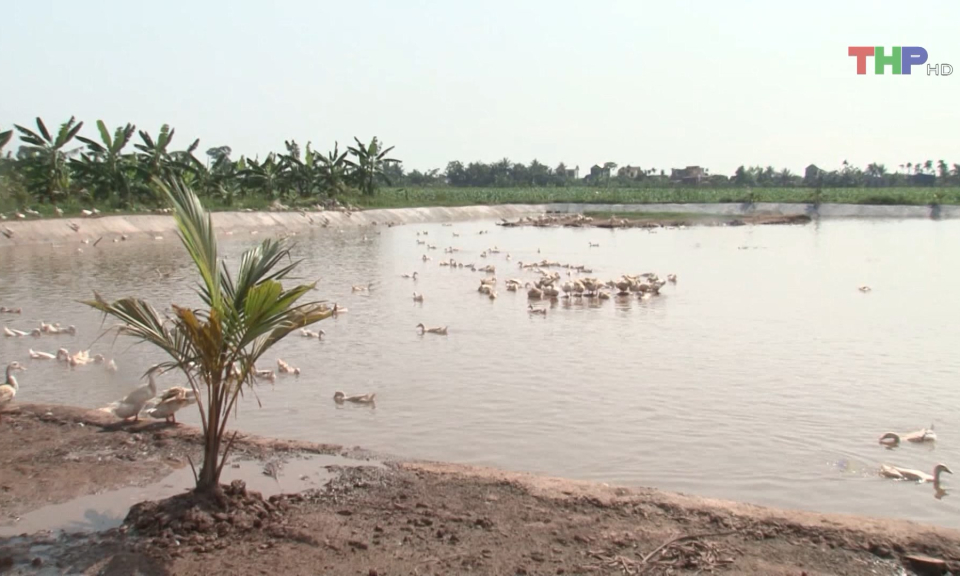 Ph&aacute;t triển c&aacute;c m&ocirc; h&igrave;nh kinh tế n&ocirc;ng nghiệp  