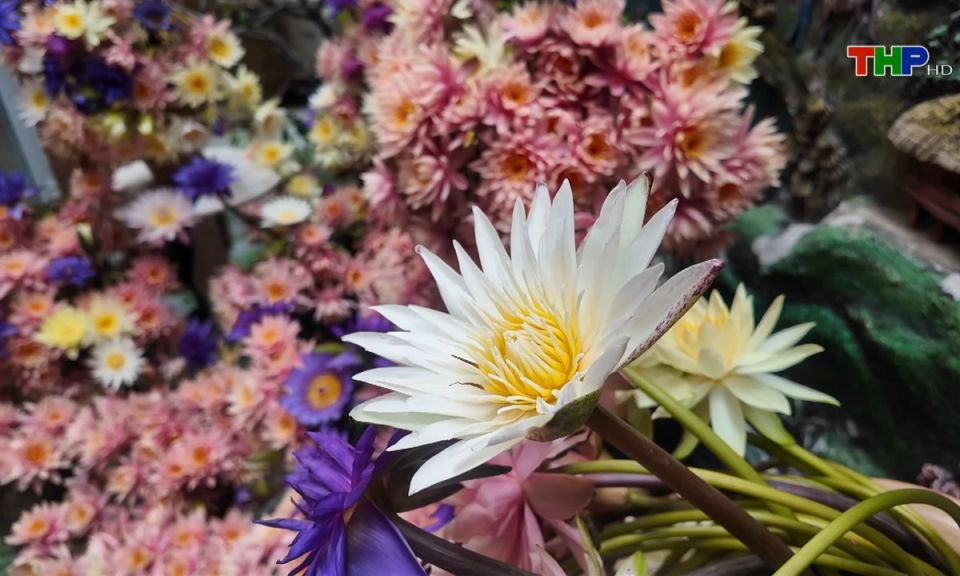 Bản tin Hải Ph&ograve;ng h&ocirc;m nay (30/03/2025)