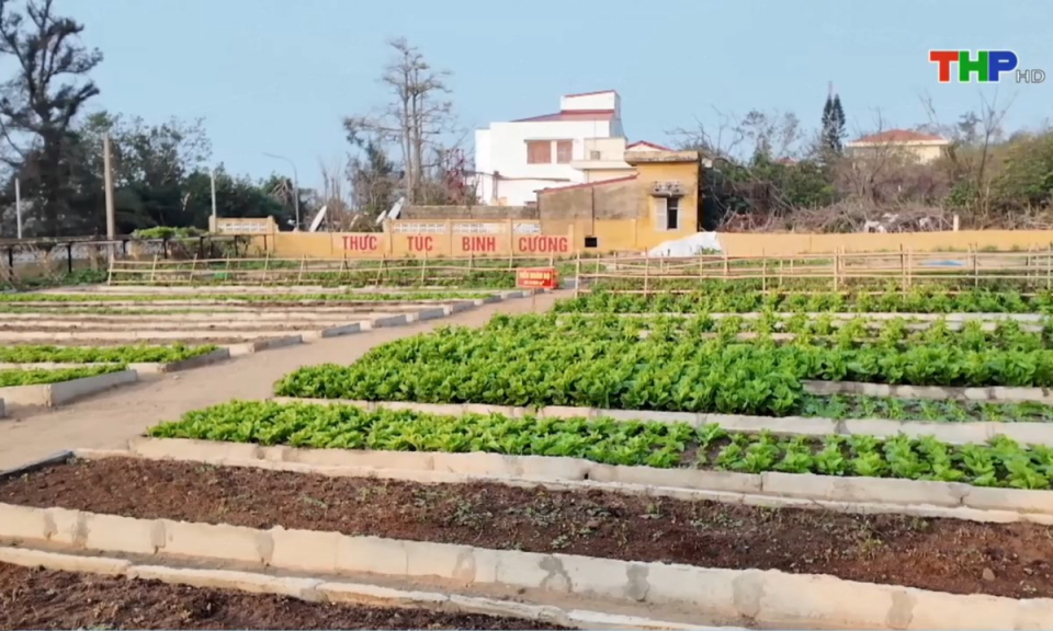 Bản tin thời sự s&aacute;ng (31/03/2025)