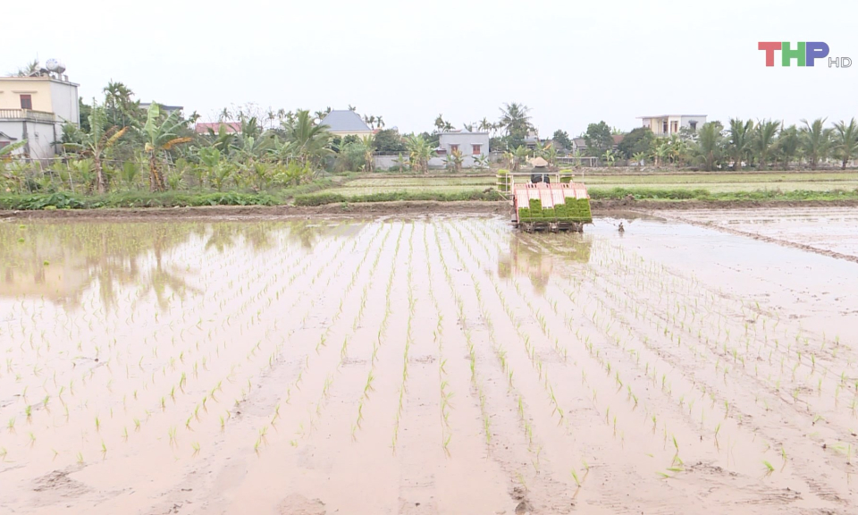 Sản xuất n&ocirc;ng nghiệp tăng trưởng ổn định  
