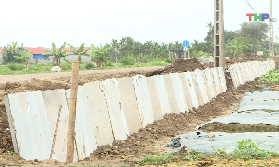 Bản tin thời sự trưa (01/04/2025)