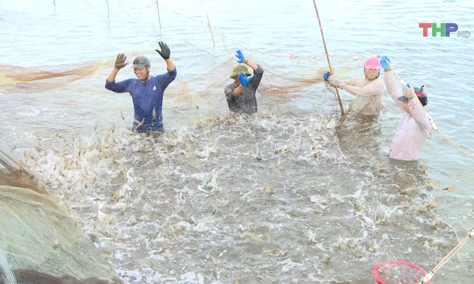 Ng&agrave;nh thủy sản phấn đấu đ&oacute;ng g&oacute;p hơn 35% gi&aacute; trị sản xuất n&ocirc;ng nghiệp