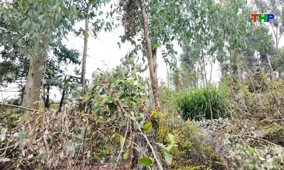 10 ph&uacute;t v&agrave;ng (02/04/2025)