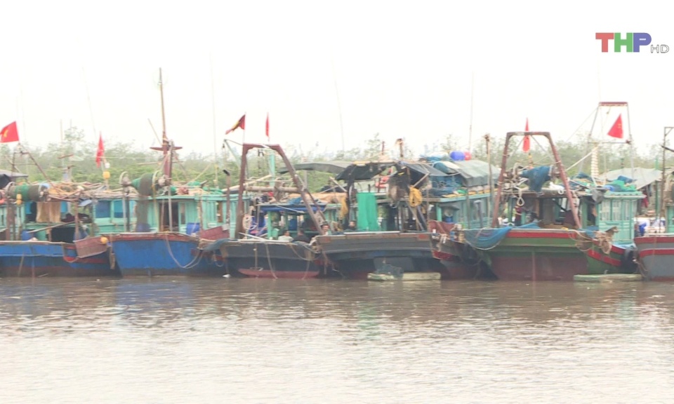 Tập trung ph&ograve;ng chống khai th&aacute;c hải sản bất hợp ph&aacute;p